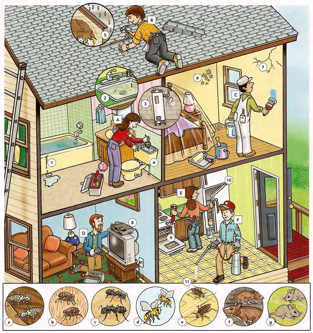 Learn Vocabulary Through Pictures Household Problems And Repairs 