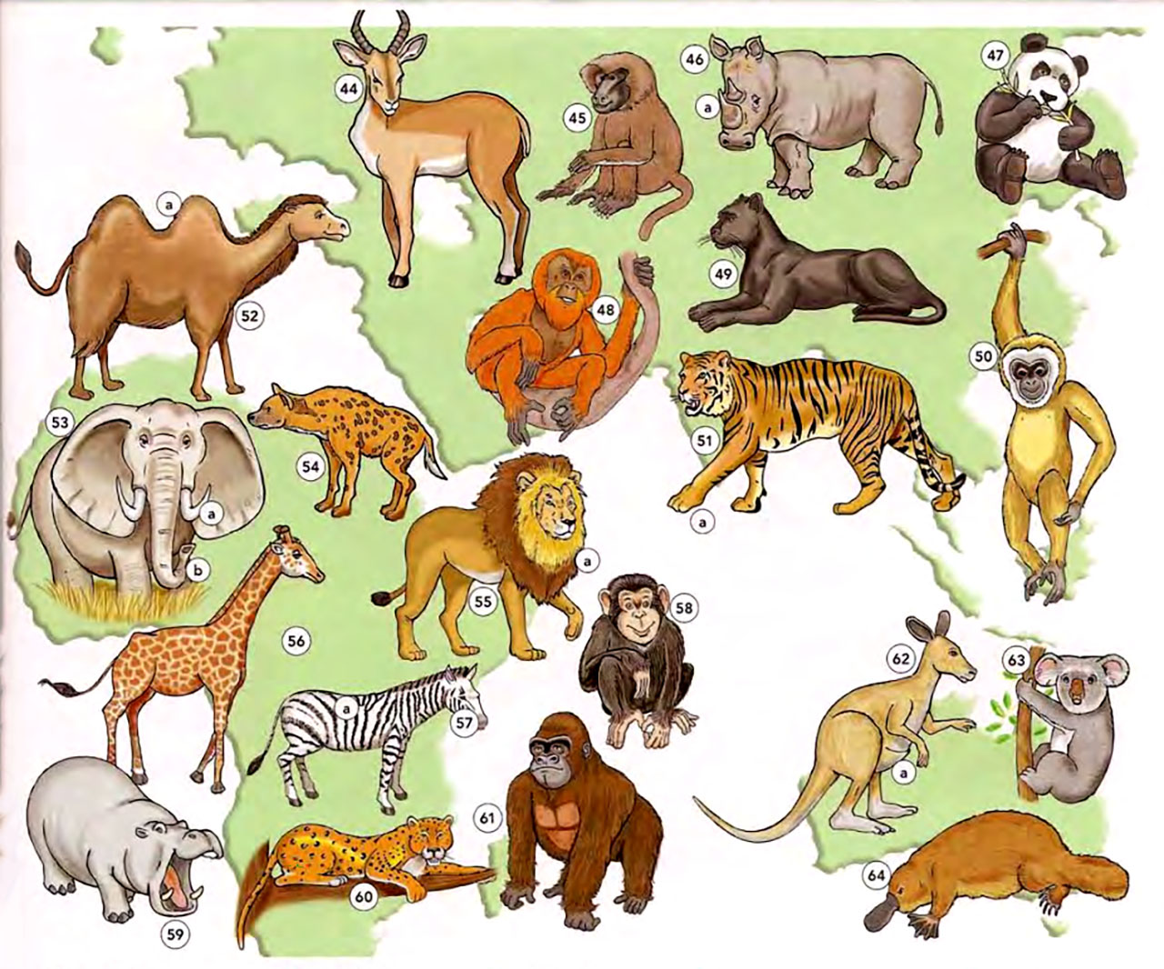 Wild animals на английском